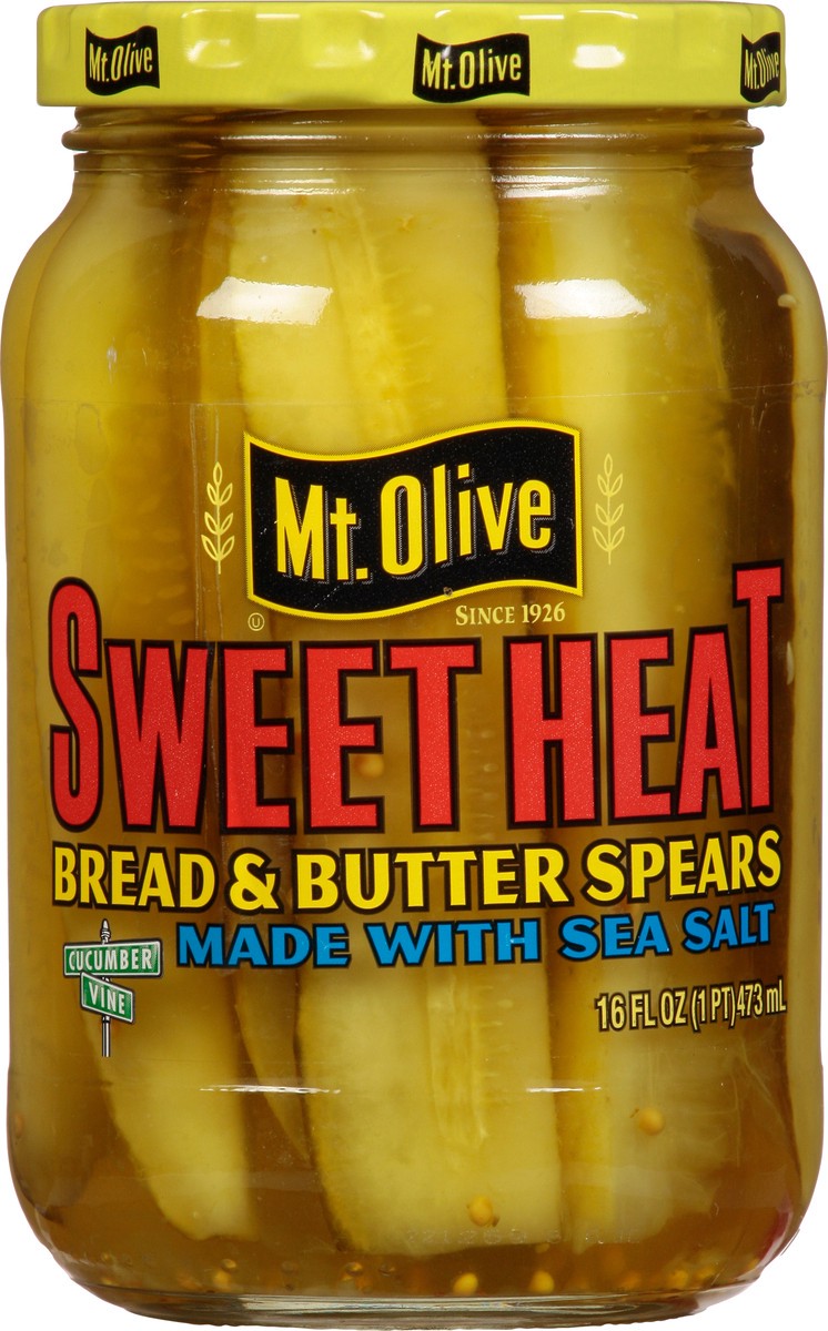 slide 1 of 17, Mt. Olive Sweet Heat Bread & Butter Spears Pickles 16 fl oz, 16 fl oz