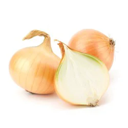 Onion Yellow