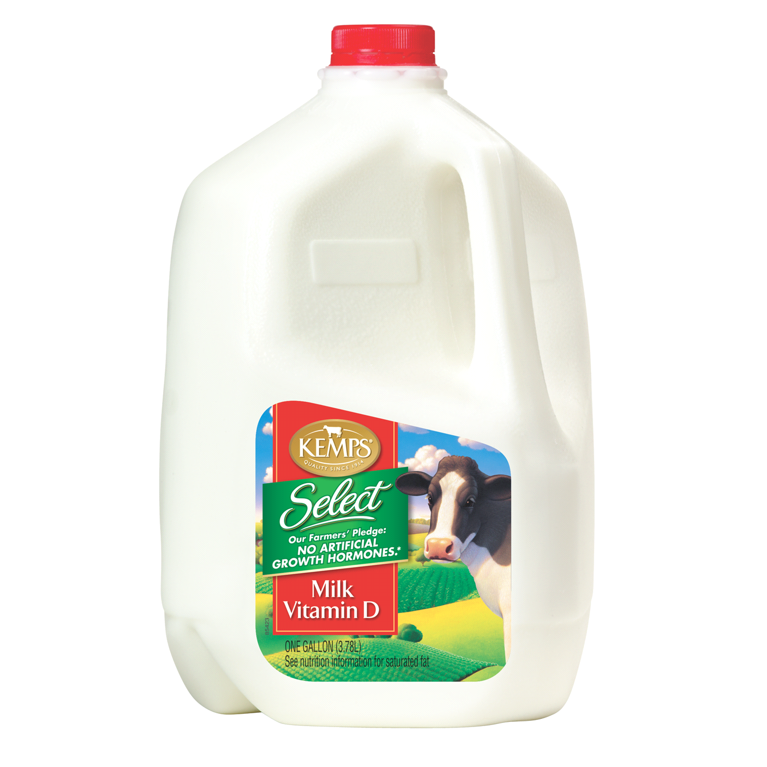 slide 1 of 1, Kemps Select Vitamin D Whole Milk Gallon, 1 gal
