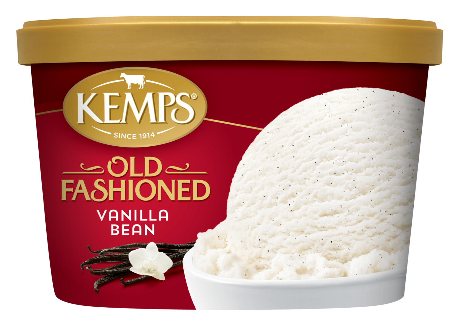 slide 1 of 1, Kemps Vanilla Bean Ice Cream 1.5 Quart, 48 fl oz