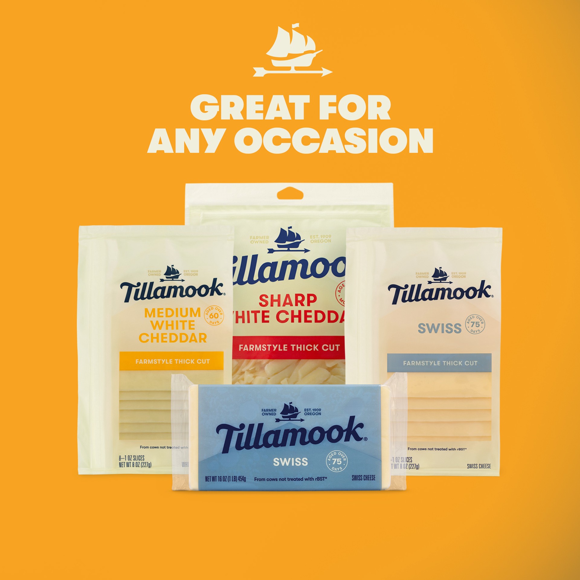 slide 5 of 5, Tillamook Swiss Cheese 16 oz, 1 lb