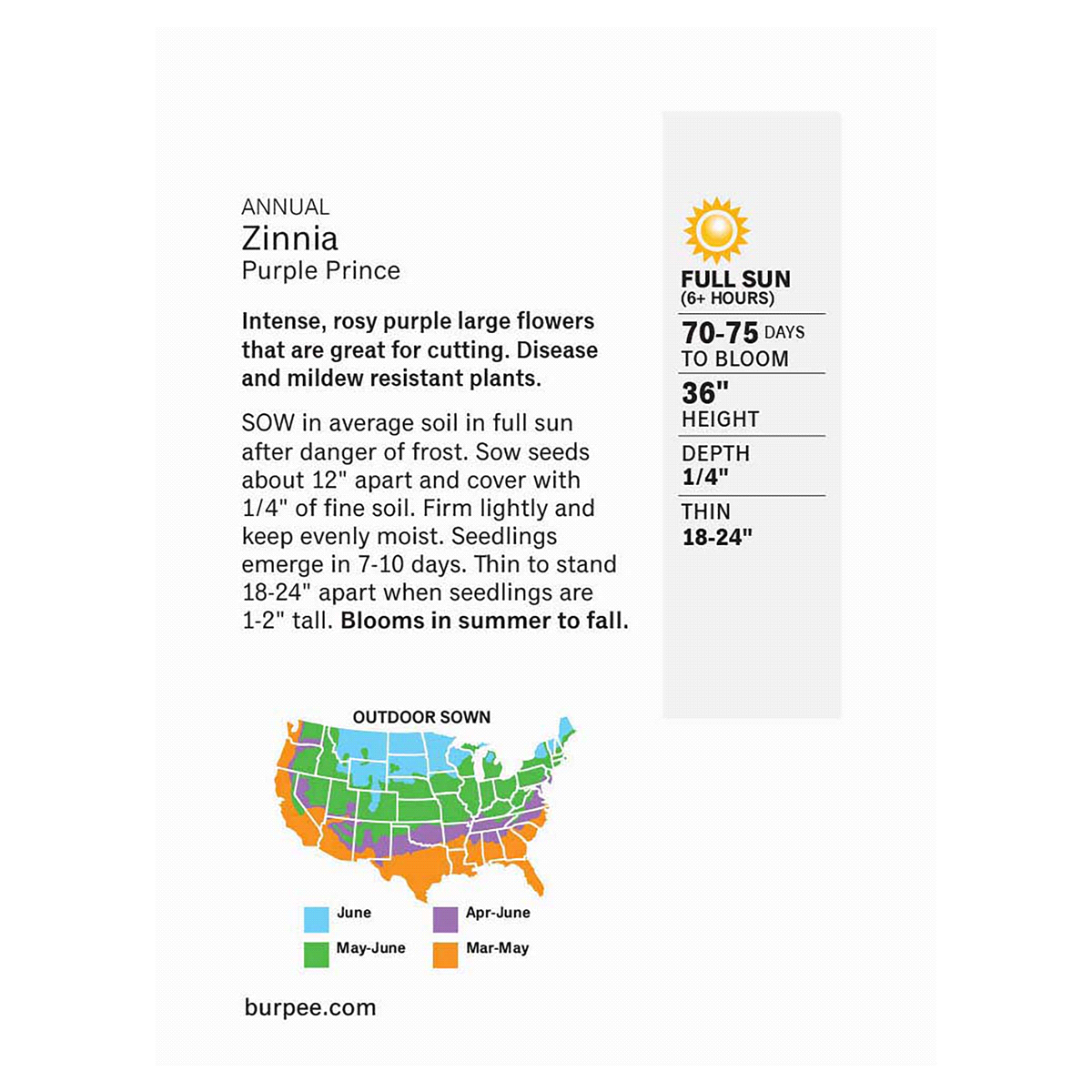 slide 2 of 2, Burpee Zinnia Purple Prince Seeds, 1 ct