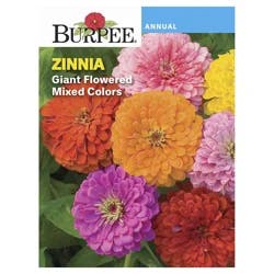 Burpee Zinnia Giant Flowered Mix Seeds