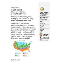 slide 3 of 5, Burpee Rudbeckia Black Eyed Susan Single Mixed, 1 ct