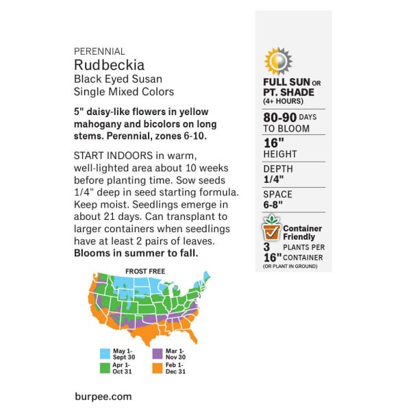 slide 4 of 5, Burpee Rudbeckia Black Eyed Susan Single Mixed, 1 ct