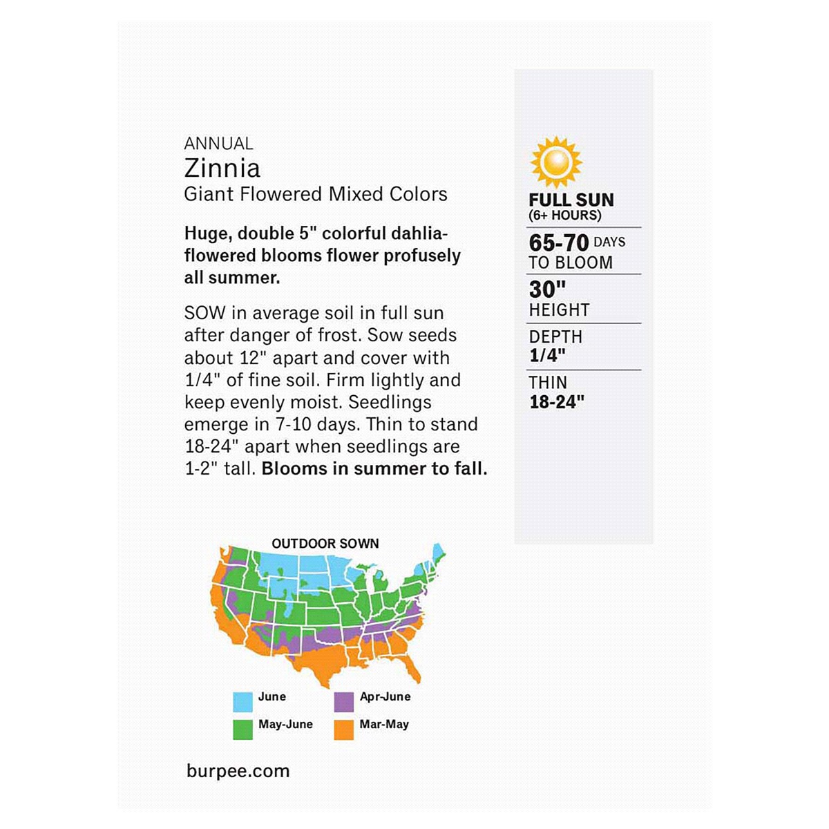 slide 2 of 2, Burpee Giant Flowered Zinnia Seeds - Multi-Color, 800 mg