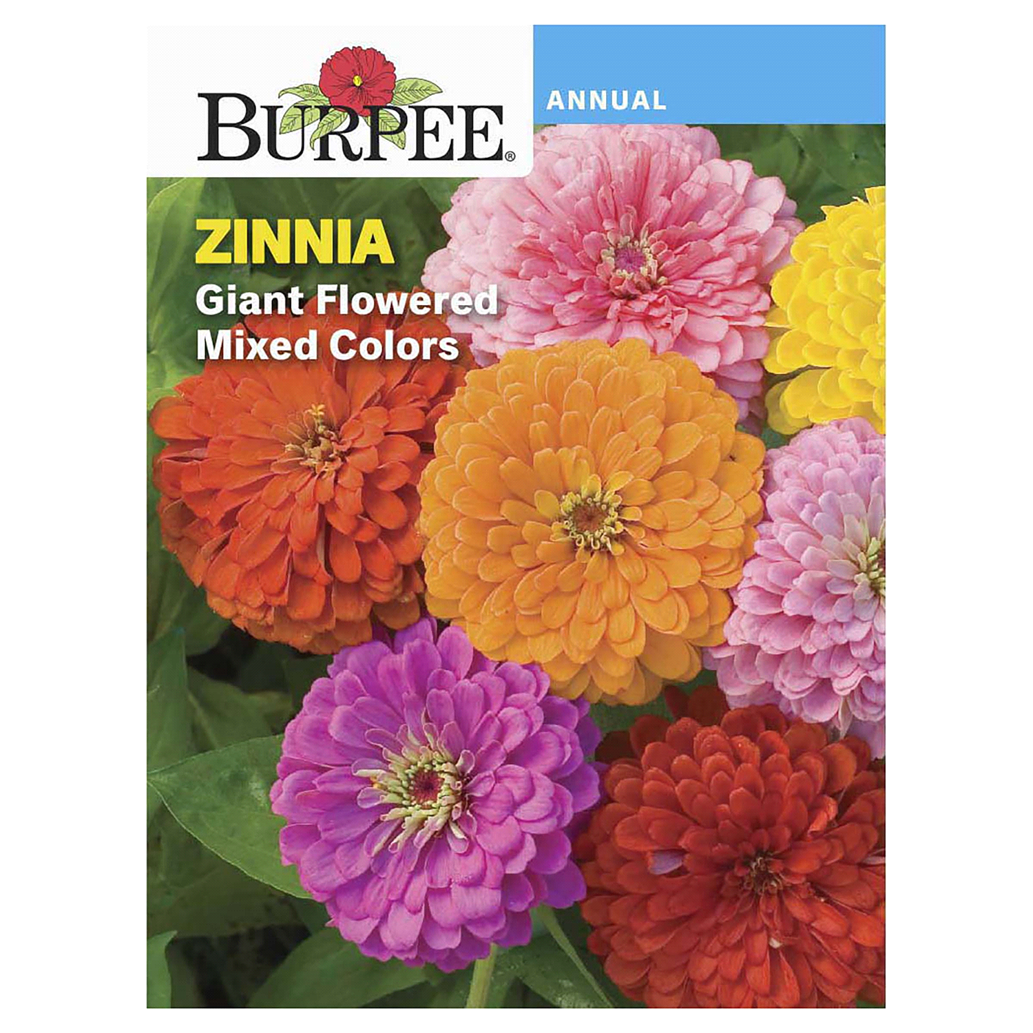 slide 1 of 2, Burpee Giant Flowered Zinnia Seeds - Multi-Color, 800 mg