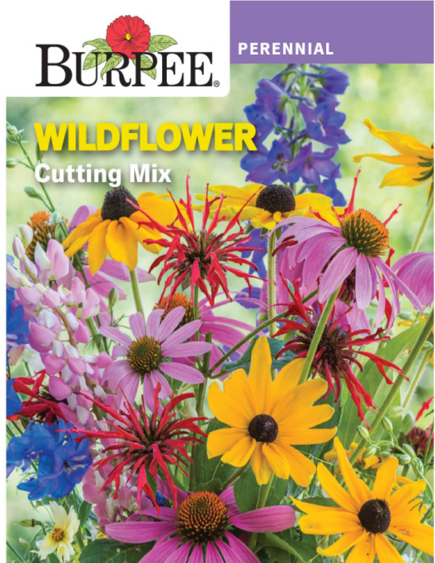 slide 1 of 1, Burpee Cutting Mix Wildflower Seeds, 1 ct