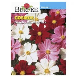 Burpee Gazebo Mix Cosmos Seeds
