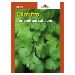 Burpee Herb, Cilantro