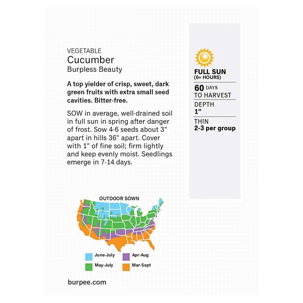 slide 3 of 5, Burpee Cucumber, Burpless Beauty, 1 ct