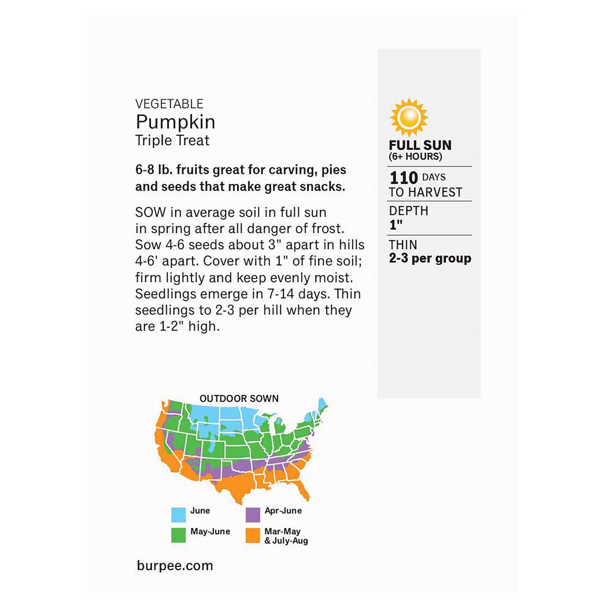 slide 2 of 5, Burpee Pumpkin Triple Treat Seeds, 1 ct