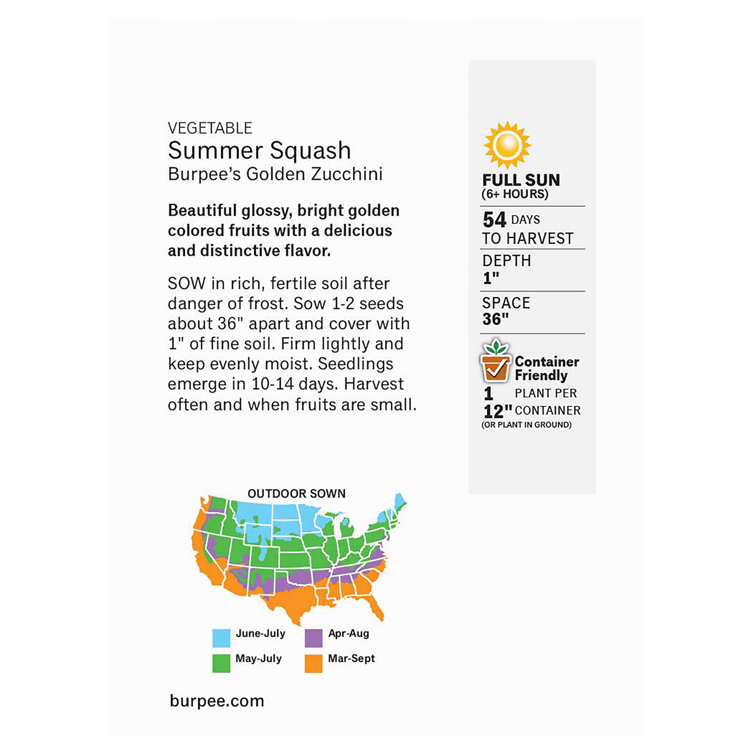 slide 2 of 2, Burpee Summer Squash, Burpee's Golden Zucchini, 1 ct