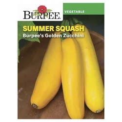 Burpee Summer Squash, Burpee's Golden Zucchini