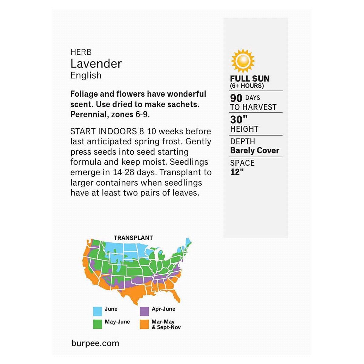 slide 2 of 2, Burpee Herb True Lavender Lavandula Angustifolia, 1 ct
