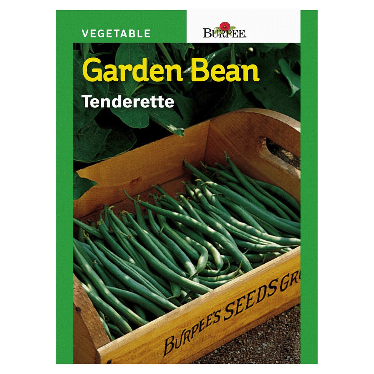 slide 1 of 1, Burpee Bean, Tenderette, 1 ct