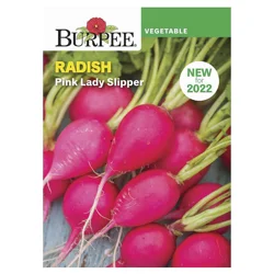 BURPEE Radish, Pink Lady Slipper