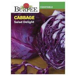 Burpee Cabbage, Salad Delight