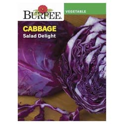Burpee Cabbage, Salad Delight