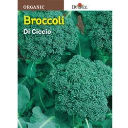 Burpee Broccoli, Di Cicco