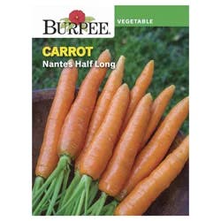 Burpee Carrot Scarlet Nantes Seeds