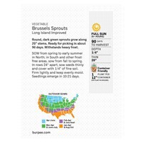 slide 3 of 5, Burpee Brussels Sprouts, Long Island Improved, 1 ct