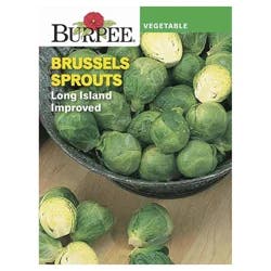 Burpee Brussels Sprouts, Long Island Improved