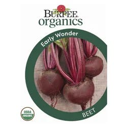 BURPEE Bupree Organic Beet, Early Wonder