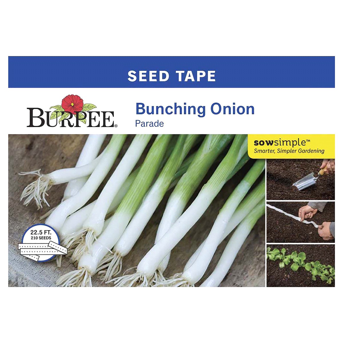 slide 1 of 2, BURPEE ST, Onion Parade, 1 ct