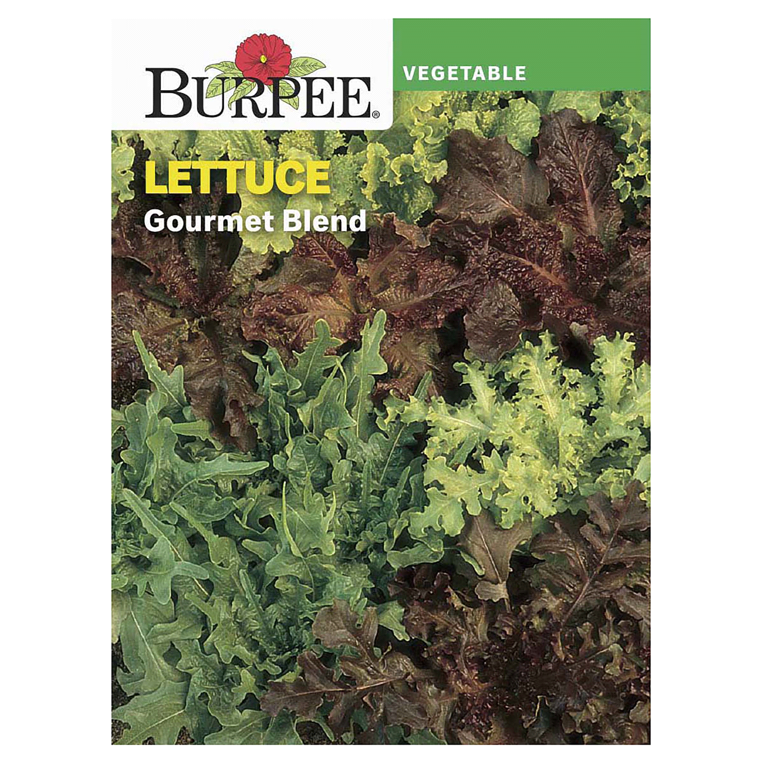 slide 1 of 2, Burpee Gourmet Blend Lettuce Seeds, 1 ct
