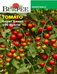 Burpee Vegetable Seeds