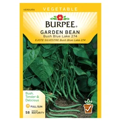 Burpee Garden Bean, Bush Blue Lake 274
