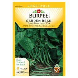 Burpee Garden Bean, Bush Blue Lake 274