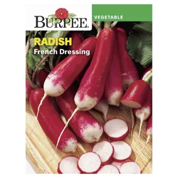 Burpee Radish, French Dressing