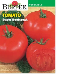 Burpee Tomato, Super Beefsteak