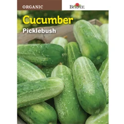 Burpee Cucumber, Picklebush