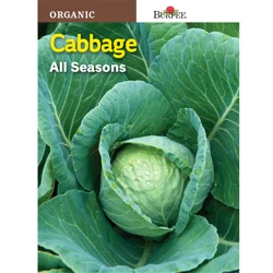 Burpee Organic Cabbage, All Seasons
