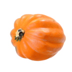 slide 1 of 1, Fresh Gold Acorn Squash, 1 ct