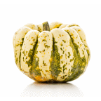 slide 1 of 1, Fresh (Sweet) Dumpling Squash, 1 ct