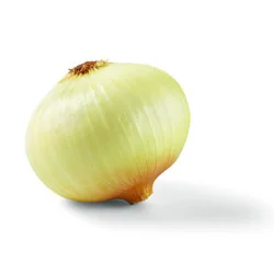 H-E-B Texas Roots Fresh Sweet Texas Onion