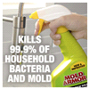slide 22 of 29, Mold Armor Mold and Mildew Killer + Quick Stain Remover, 32 oz