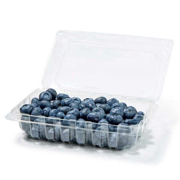 slide 8 of 9, Jumbo Blueberries, 9.8 oz