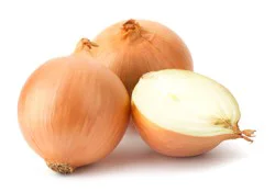 Onion Vidallia