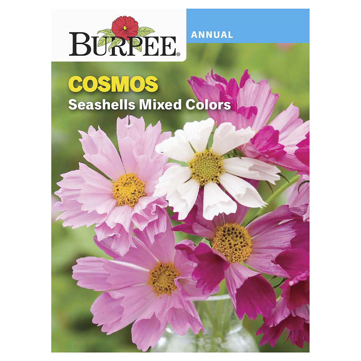 slide 1 of 5, Burpee Cosmos Seashells Mix Seeds - Multi-Color, 1 ct