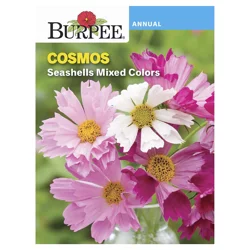 Burpee Cosmos Seashells Mix Seeds - Multi-Color