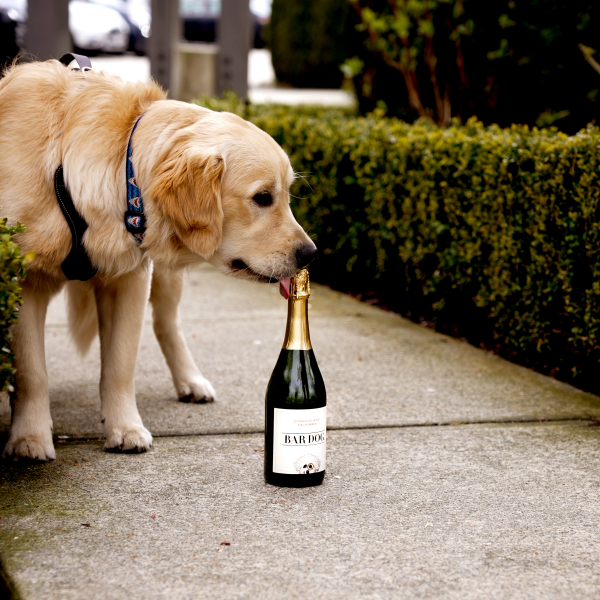 slide 14 of 19, Bar Dog Non-Vintage Sparkling Wine, California, 750ml, 750 ml