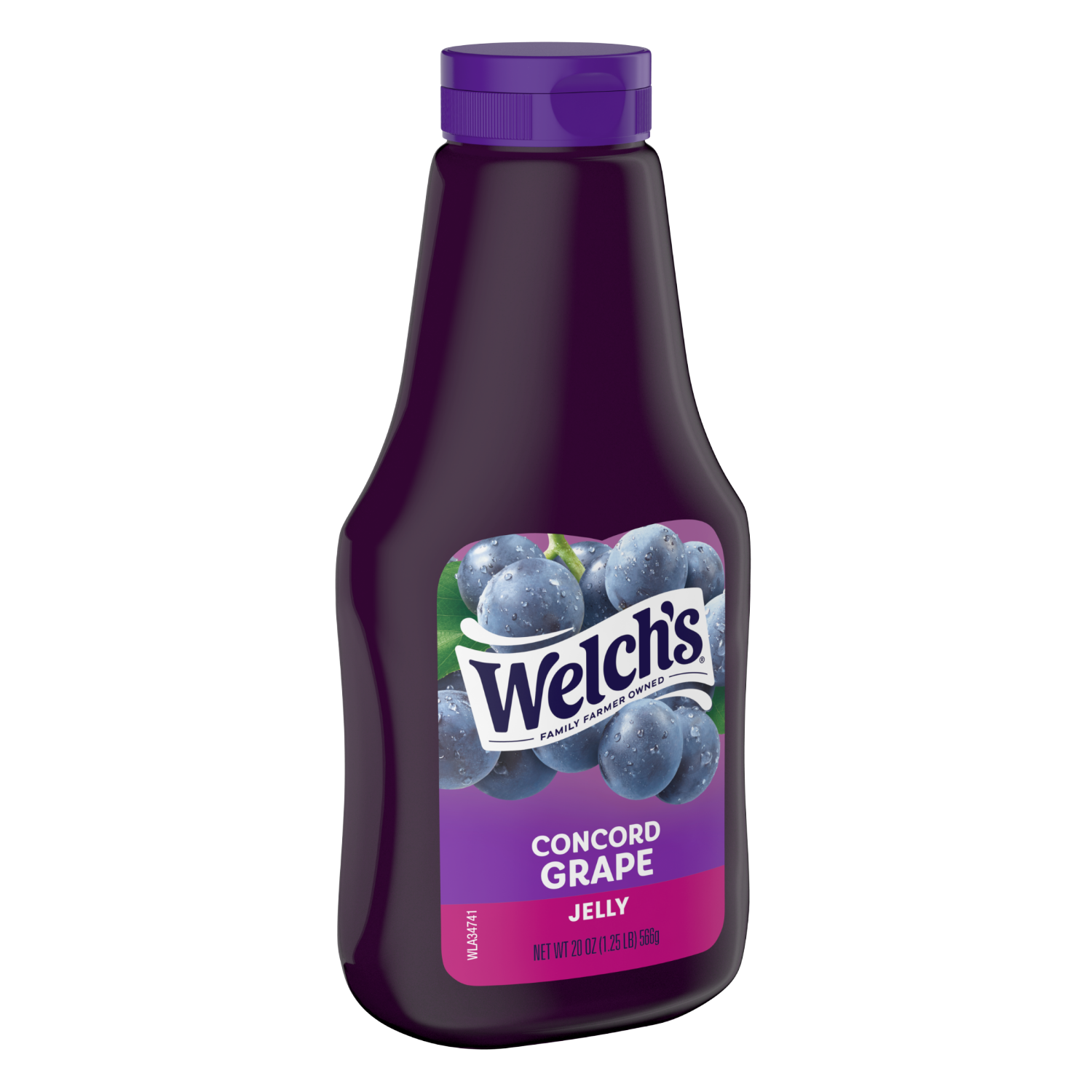 slide 2 of 3, Welch's Concord Grape Jelly, 20 oz Squeeze Bottle, 20 oz