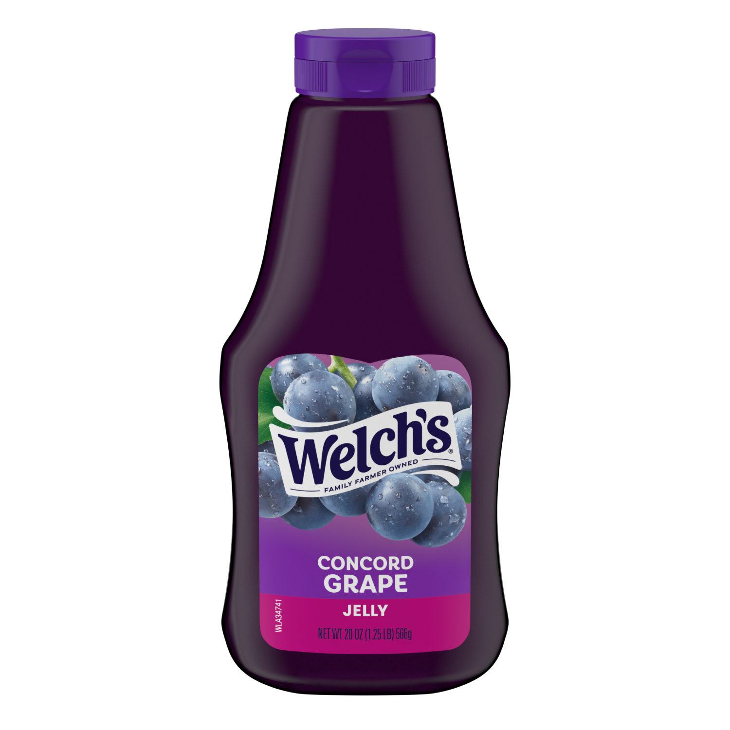 slide 1 of 3, Welch's Concord Grape Jelly, 20 oz Squeeze Bottle, 20 oz