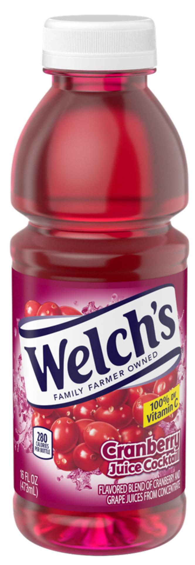 slide 1 of 2, Welch's Cranberry Juice Cocktail, 16 fl oz On-the-Go Bottle, 16 oz
