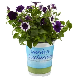 4.5 Annual Garden Exclusives